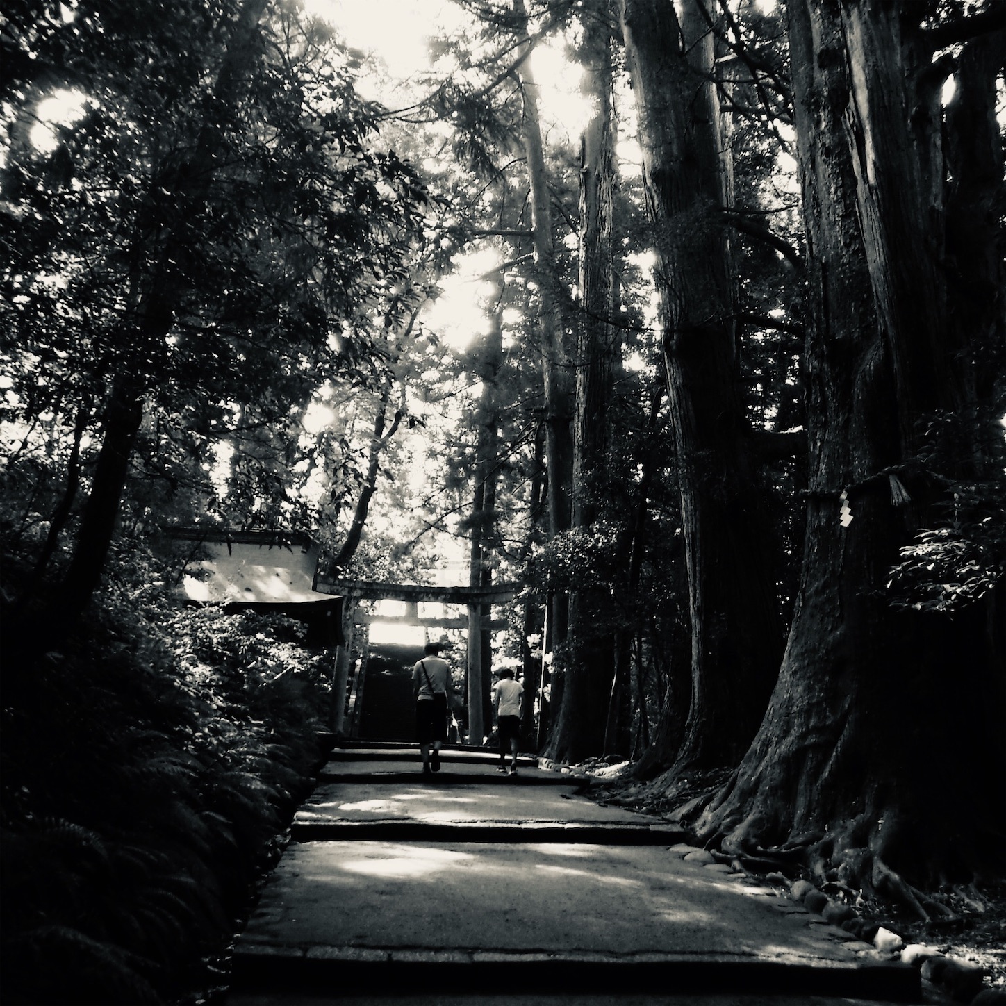 f:id:dailymusiclog:20190908110917j:image