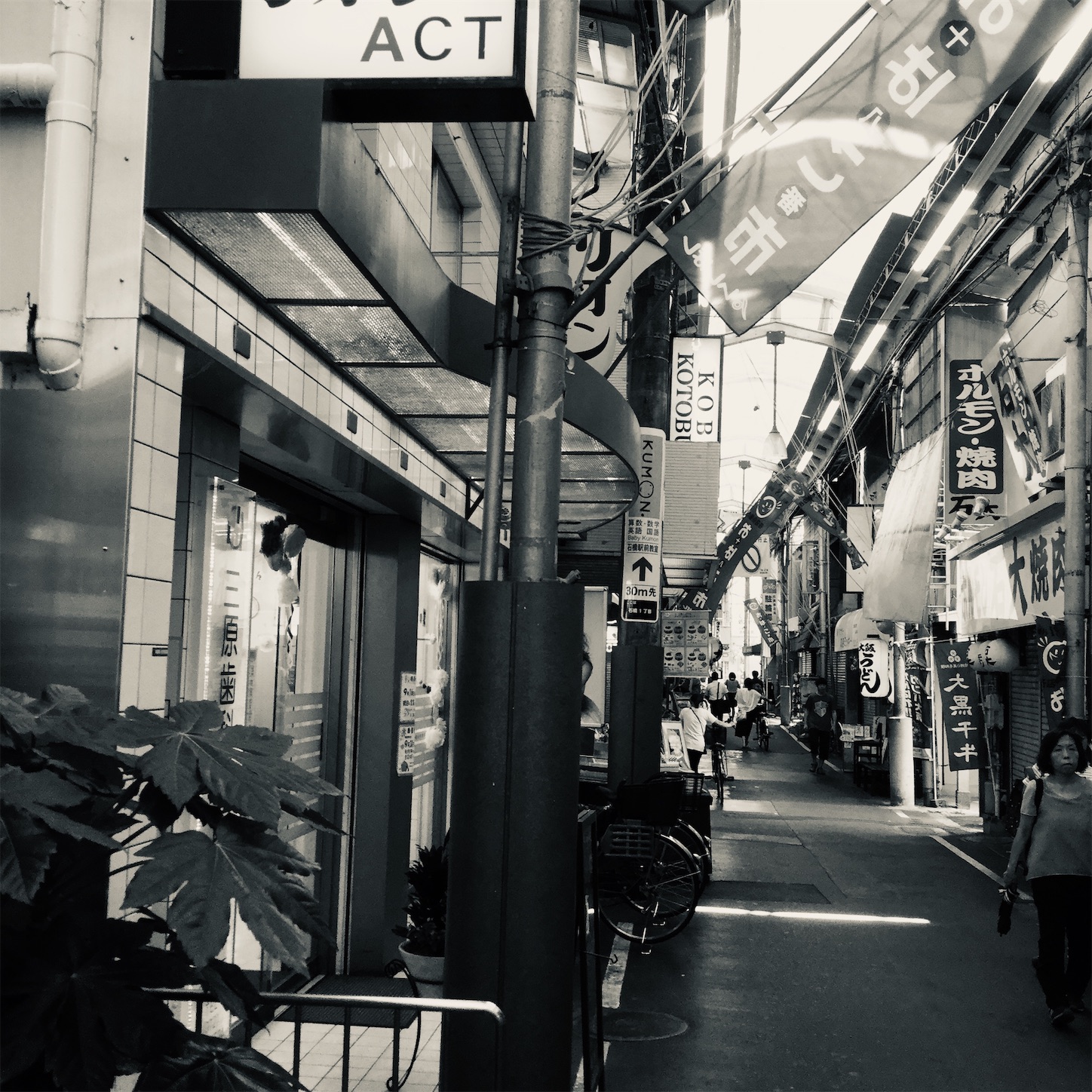f:id:dailymusiclog:20190911122412j:image