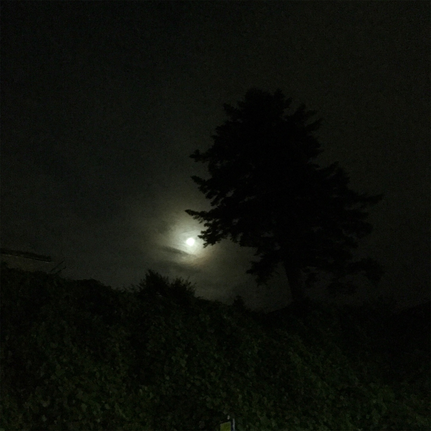 f:id:dailymusiclog:20190913215440j:image