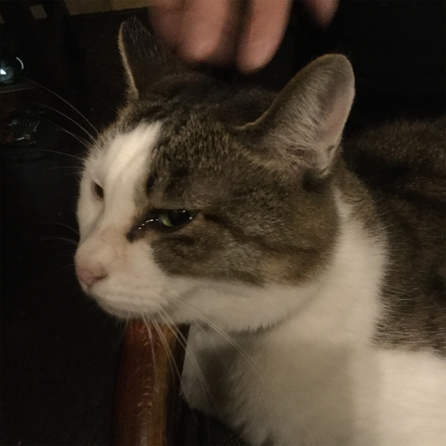 f:id:dailymusiclog:20191024070445j:image