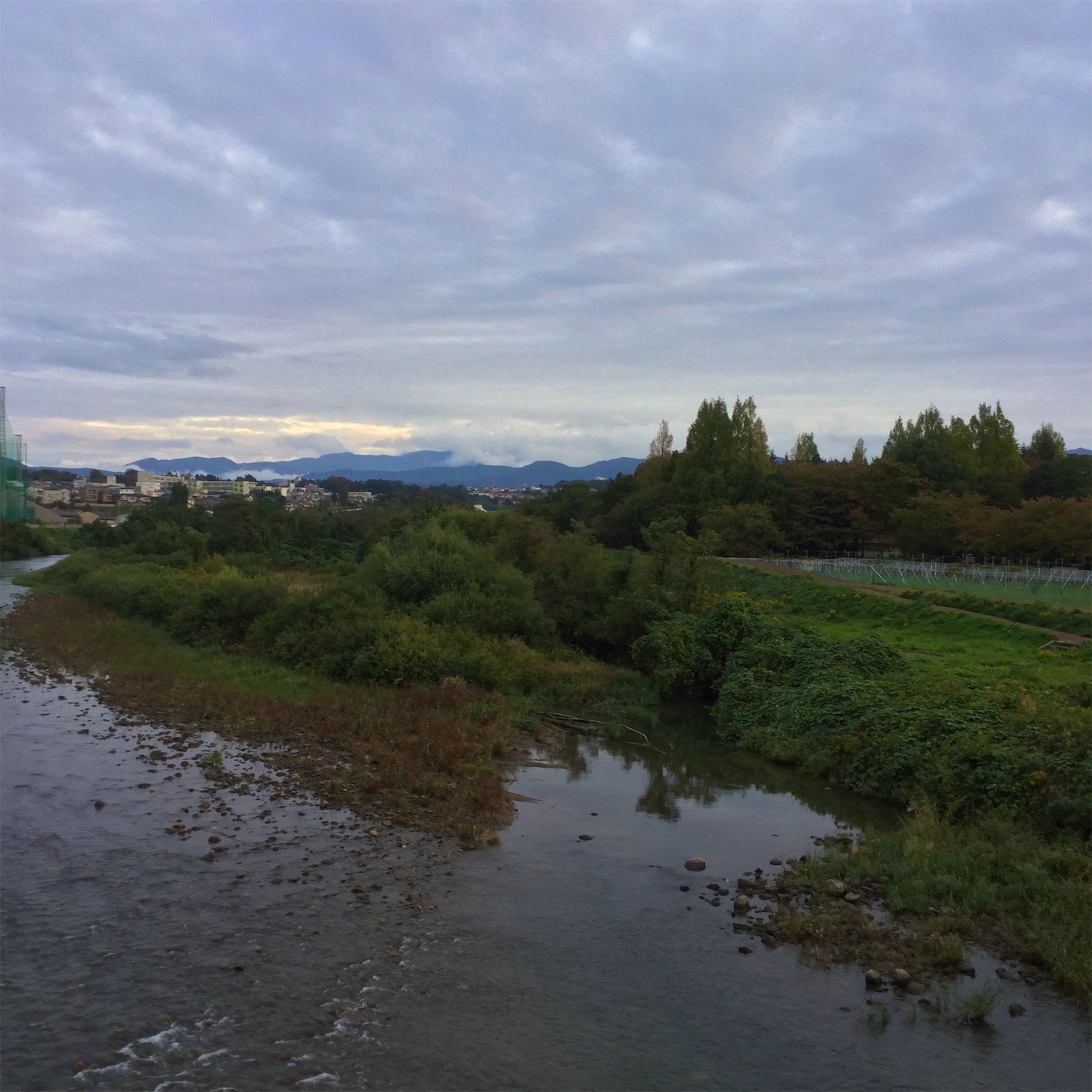 f:id:dailymusiclog:20191027192735j:image