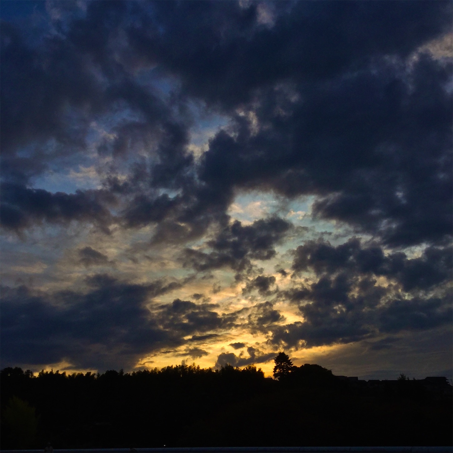 f:id:dailymusiclog:20191027192740j:image