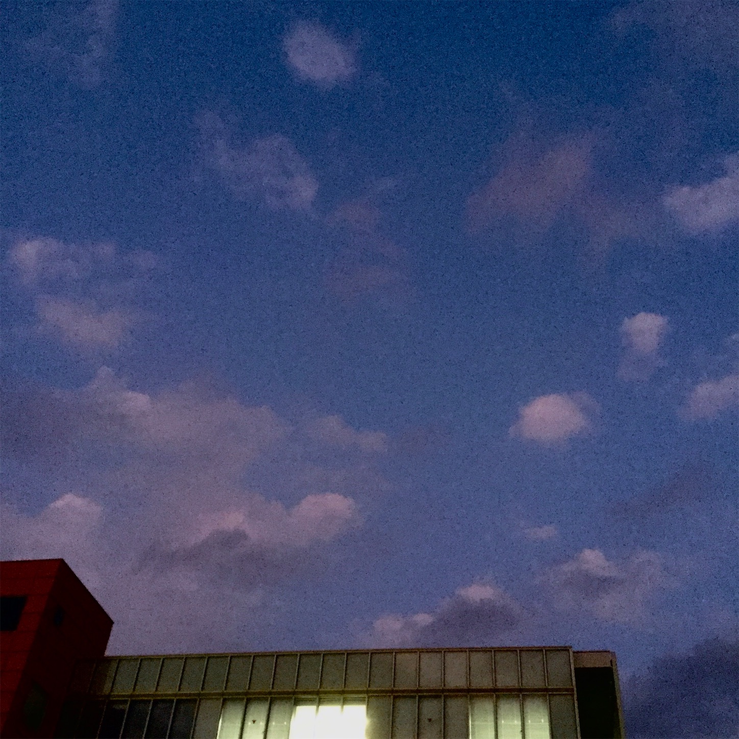 f:id:dailymusiclog:20191101200225j:image