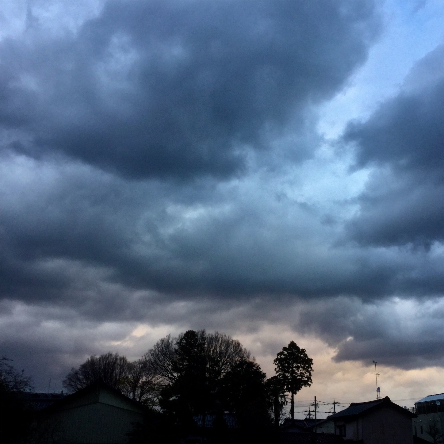 f:id:dailymusiclog:20191203072018j:image