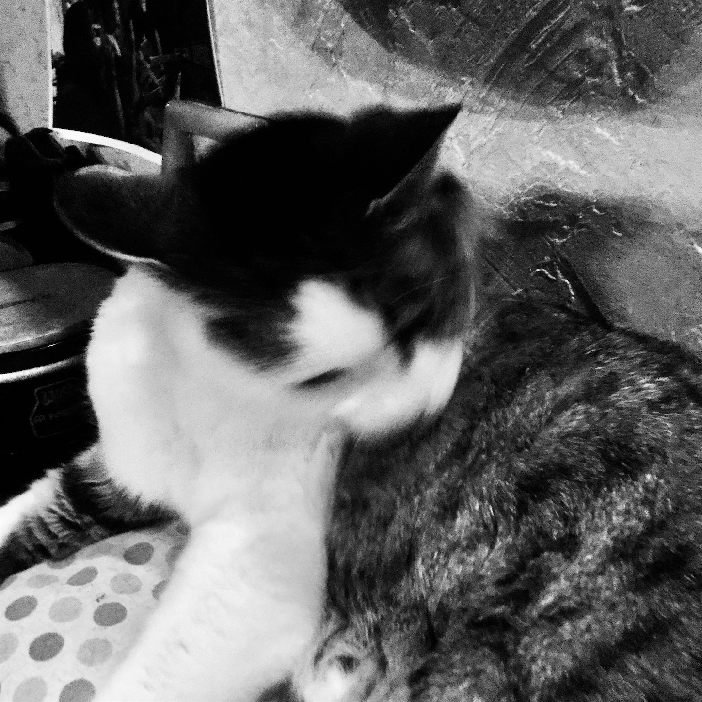 f:id:dailymusiclog:20191207232439j:image