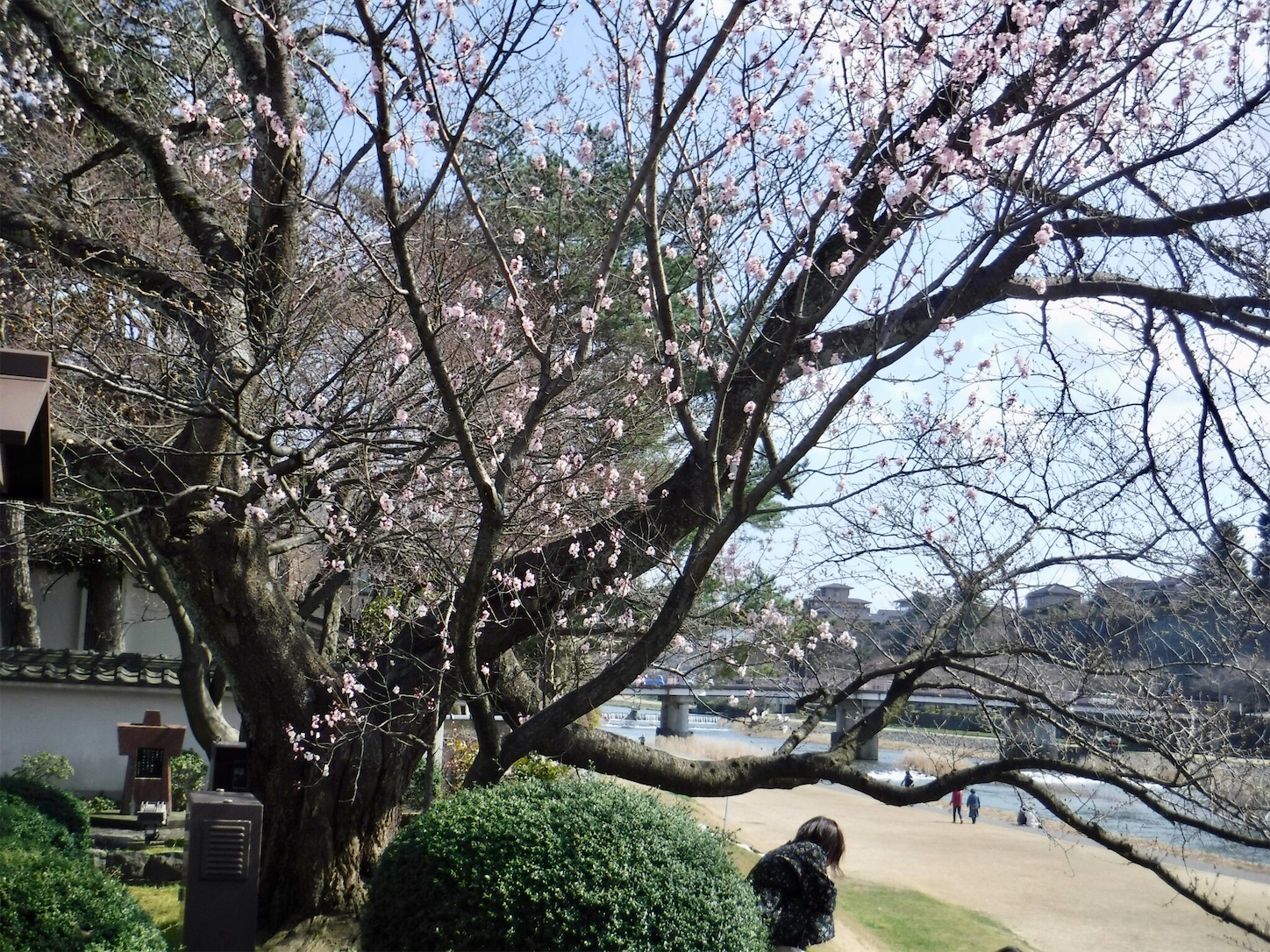 f:id:dailymusiclog:20200321173730j:image