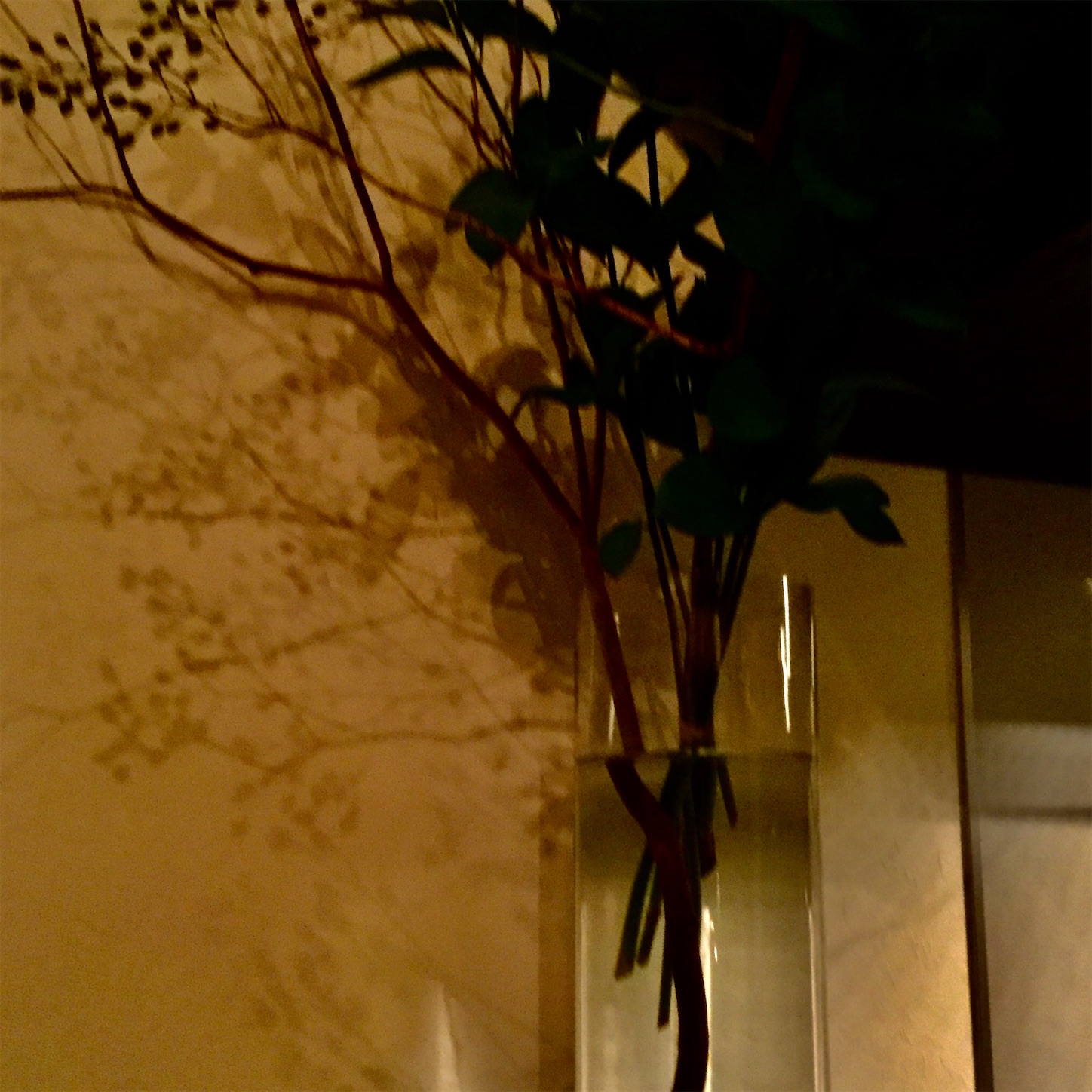 f:id:dailymusiclog:20200917020829j:image f:id:dailymusiclog:20200917020829j:image