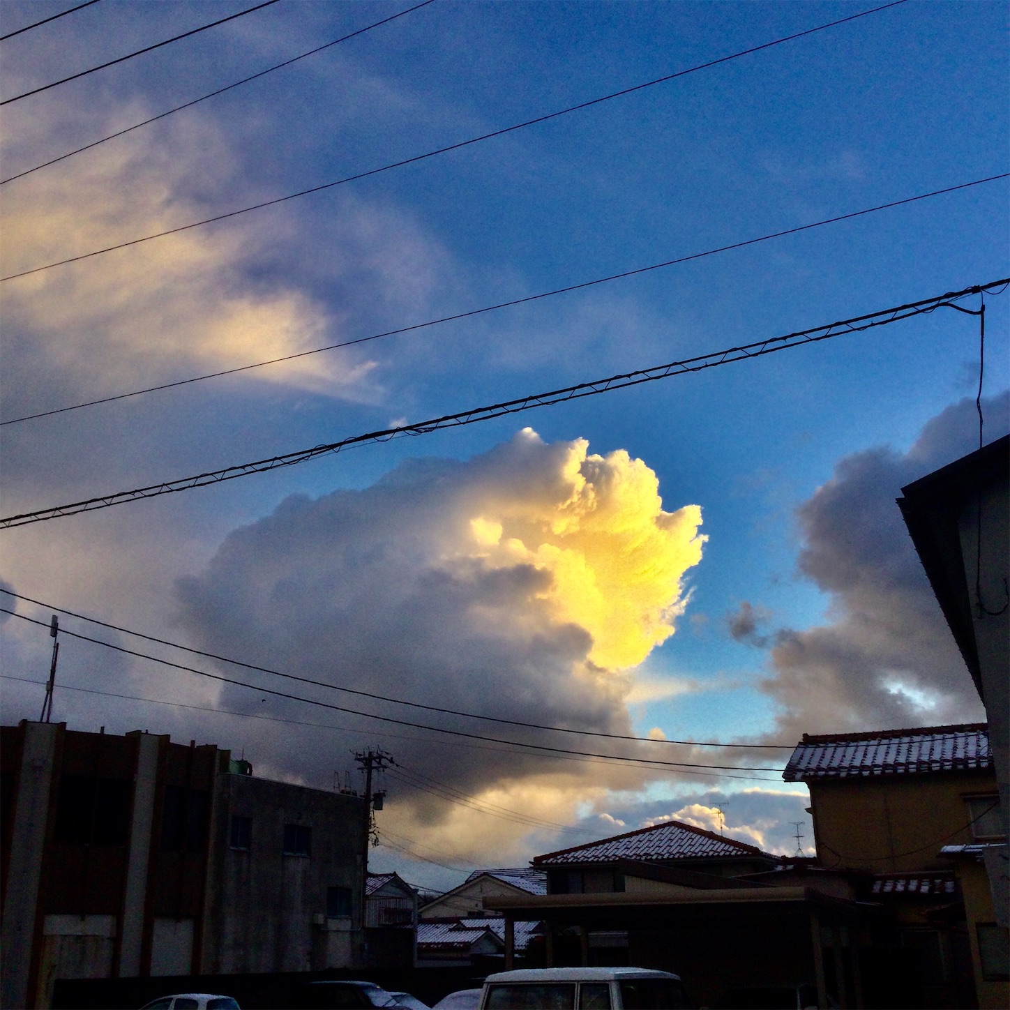 f:id:dailymusiclog:20201215085558j:image