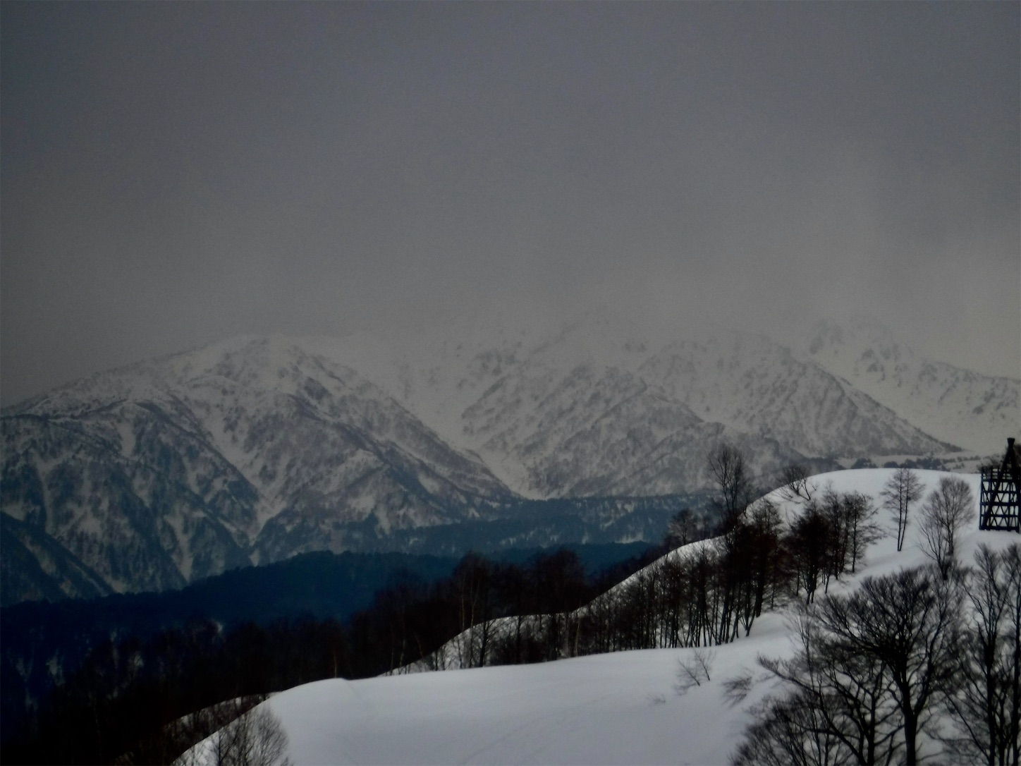 f:id:dailymusiclog:20210207134442j:image