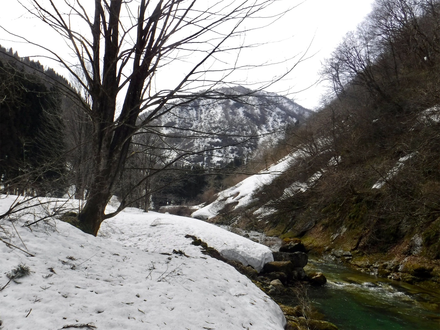 f:id:dailymusiclog:20210319152414j:image