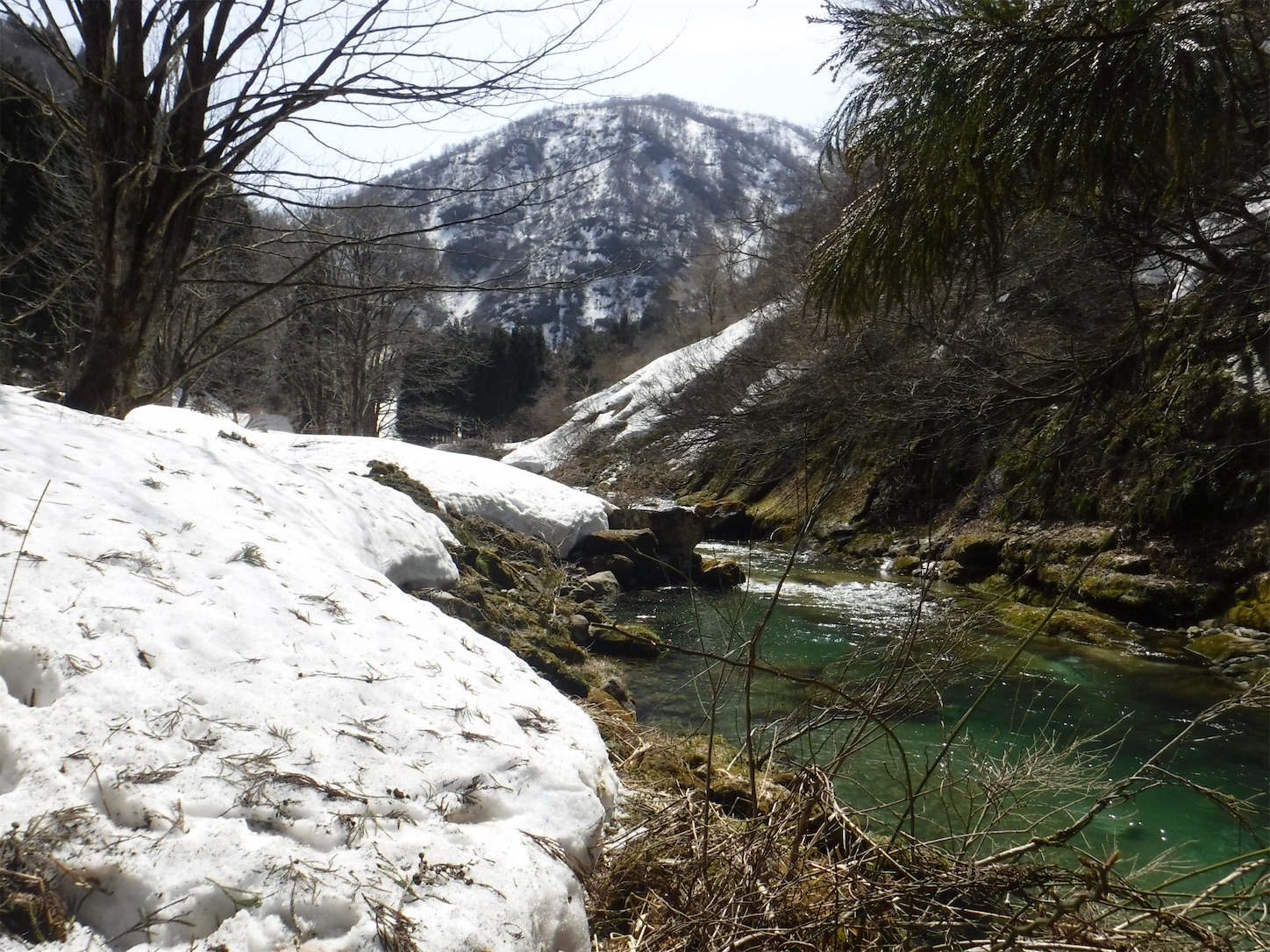 f:id:dailymusiclog:20210319152428j:image