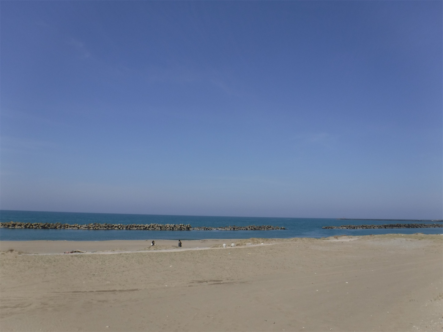 f:id:dailymusiclog:20210327172336j:image