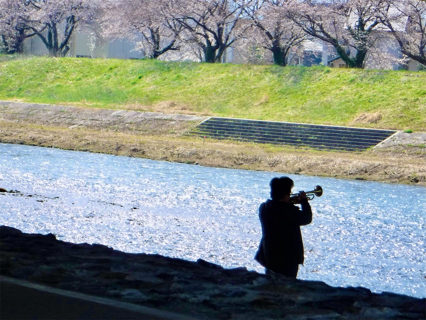 f:id:dailymusiclog:20210327172351j:image