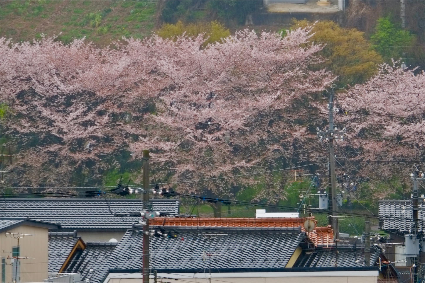 f:id:dailymusiclog:20210404162427j:image