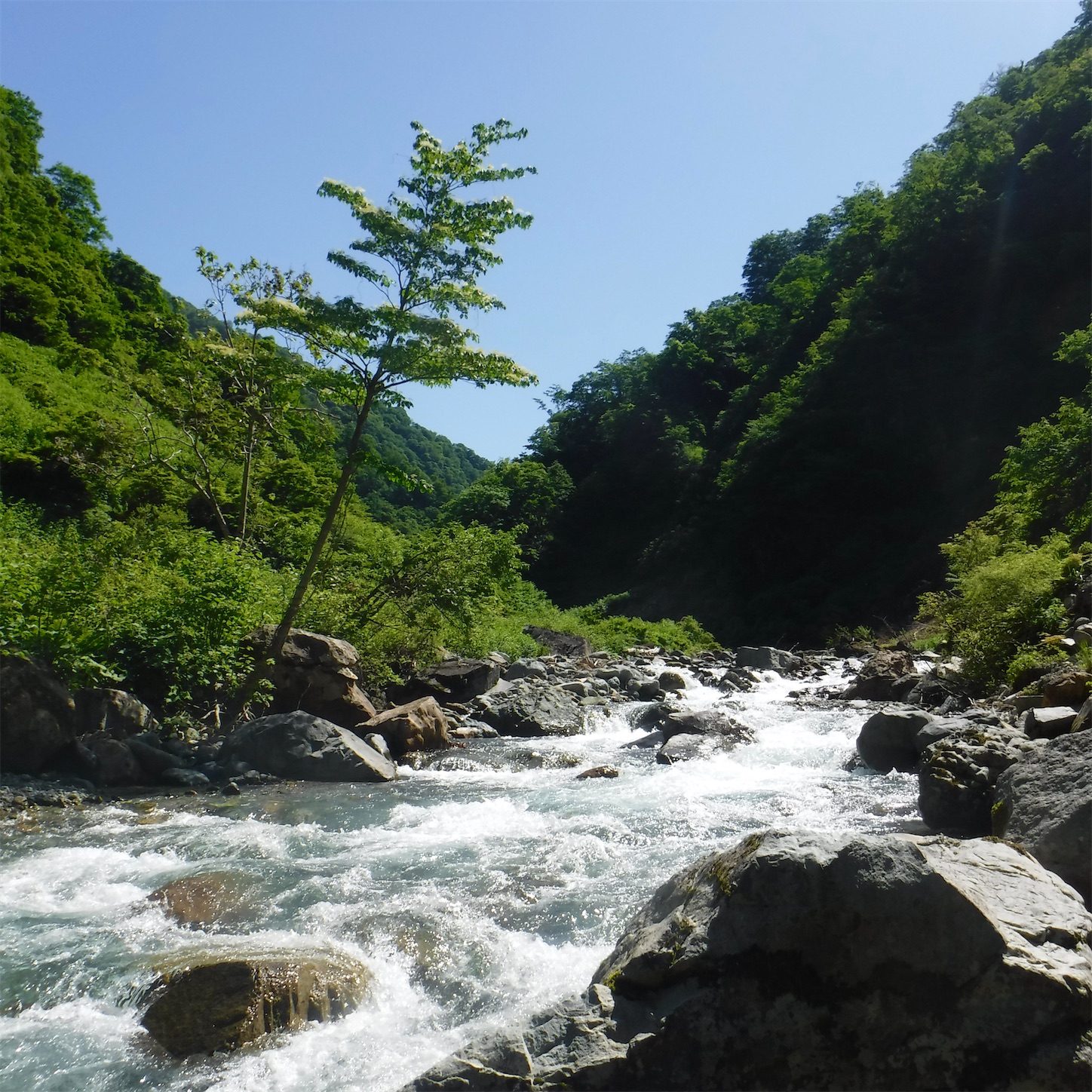 f:id:dailymusiclog:20210601200724j:image