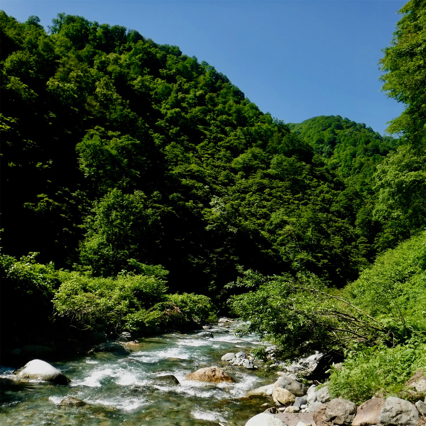 f:id:dailymusiclog:20210601200729j:image