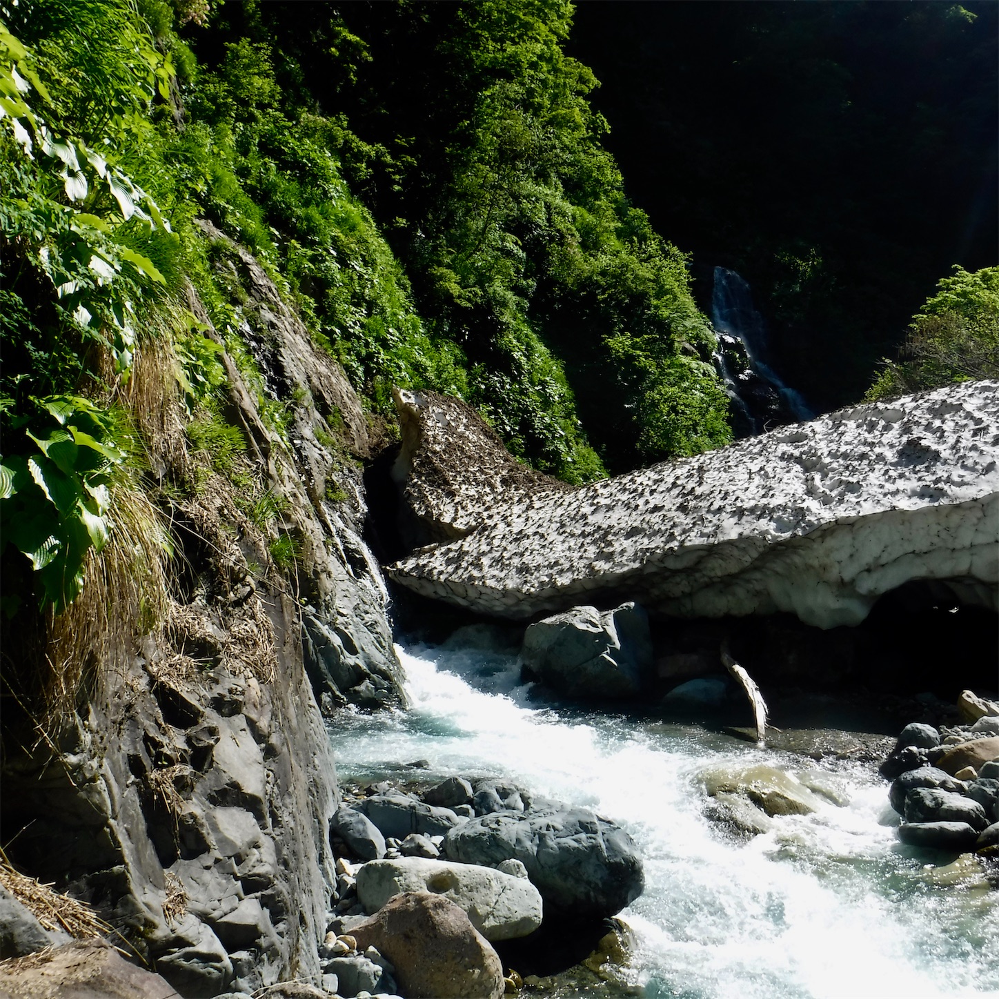 f:id:dailymusiclog:20210601200740j:image