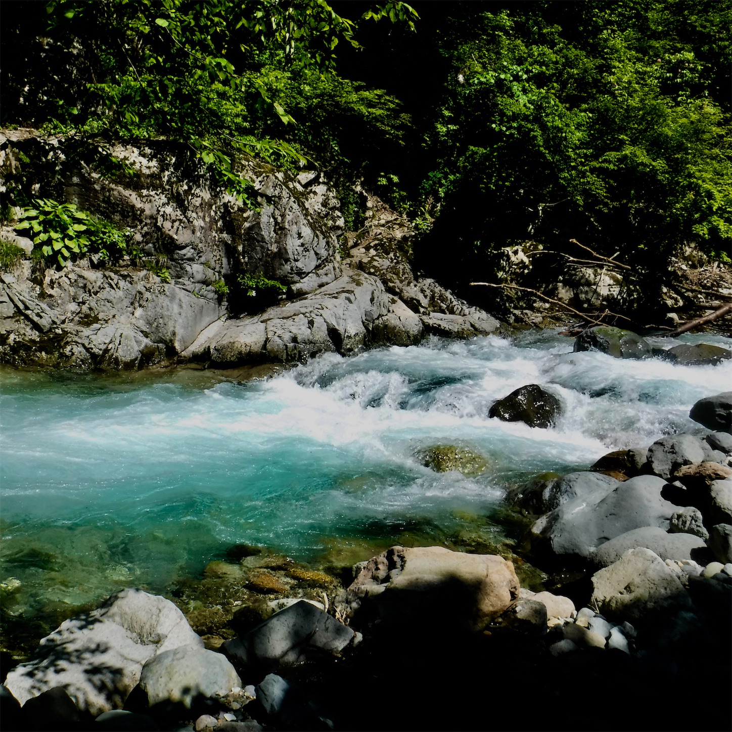 f:id:dailymusiclog:20210601200745j:image