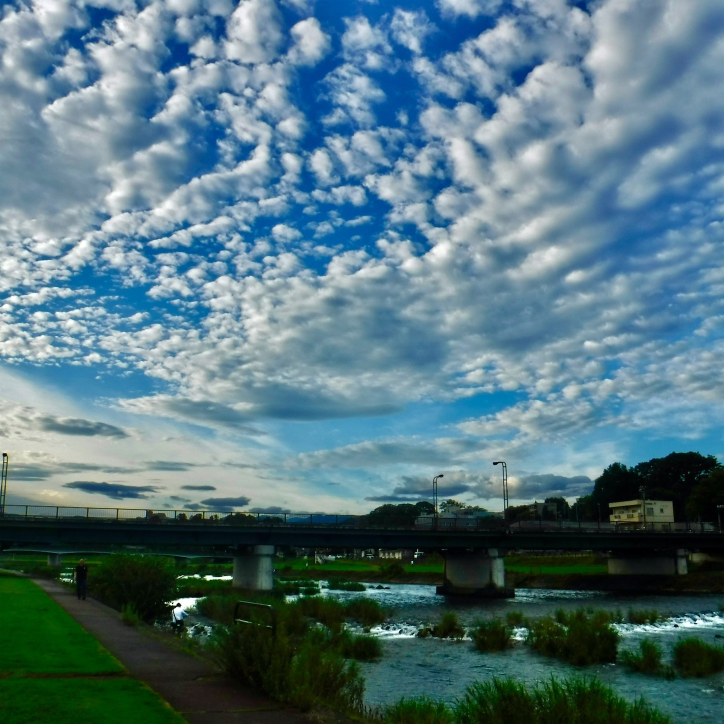 f:id:dailymusiclog:20210821082752j:image