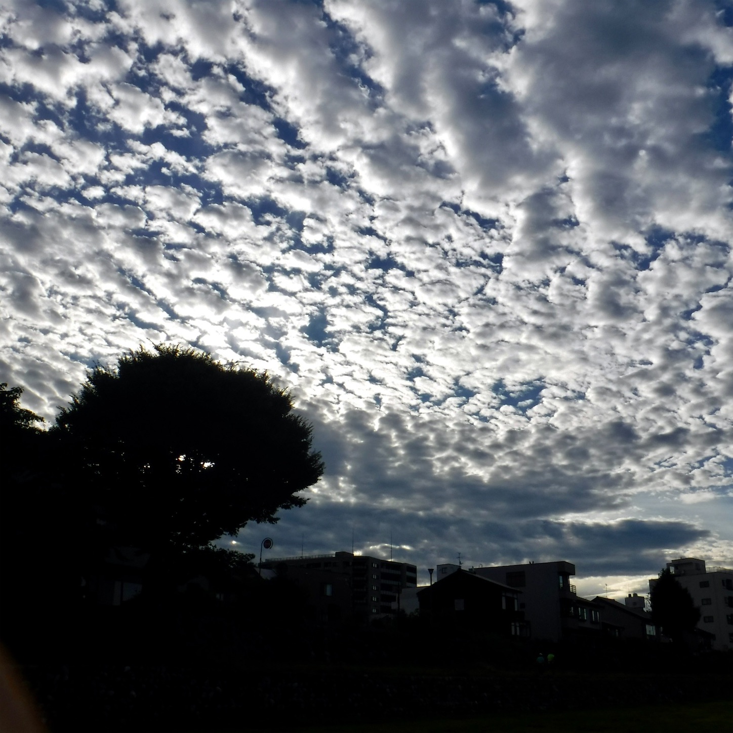 f:id:dailymusiclog:20210821082804j:image
