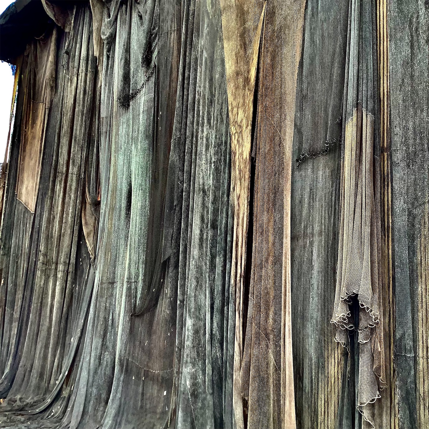 f:id:dailymusiclog:20210926164701j:image