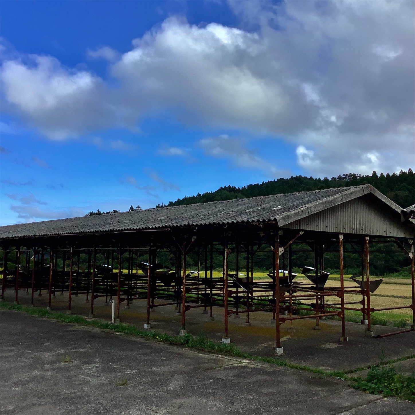 f:id:dailymusiclog:20210926164734j:image