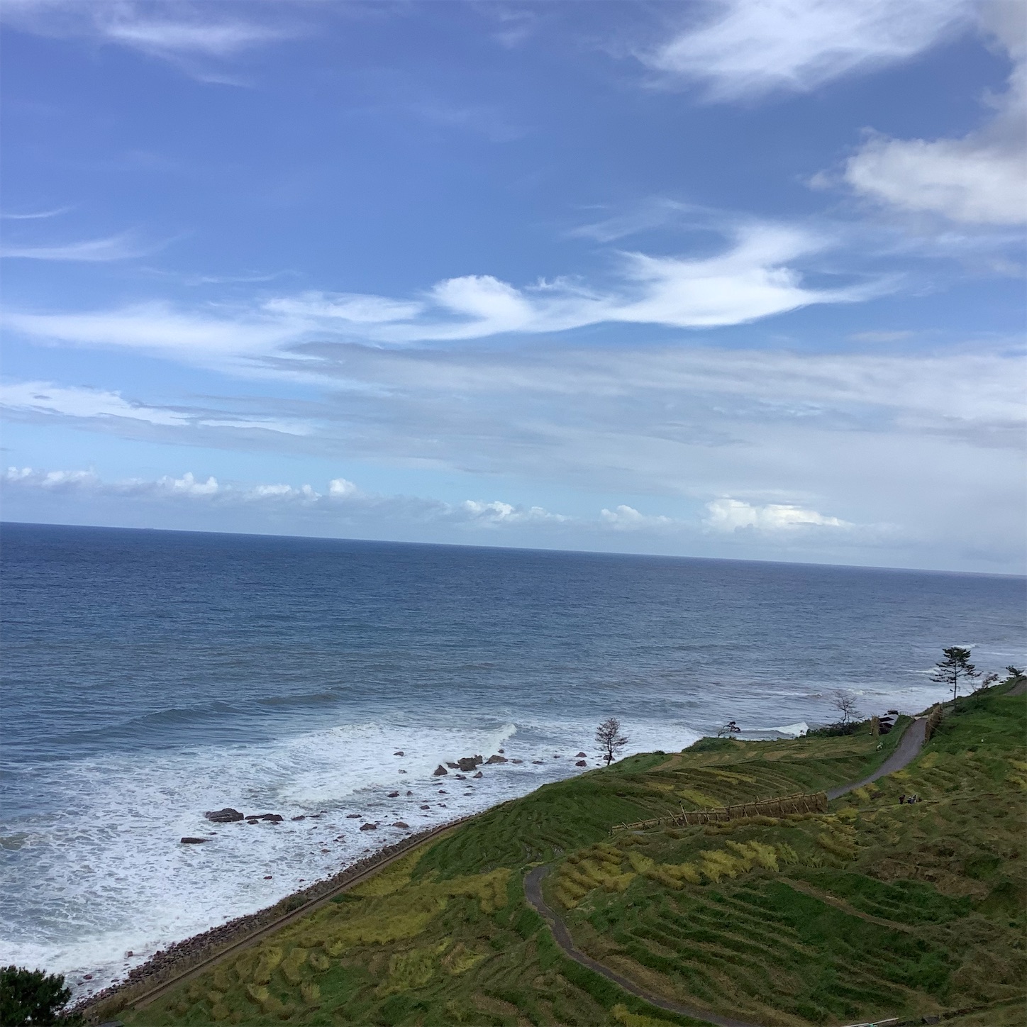 f:id:dailymusiclog:20210926164742j:image