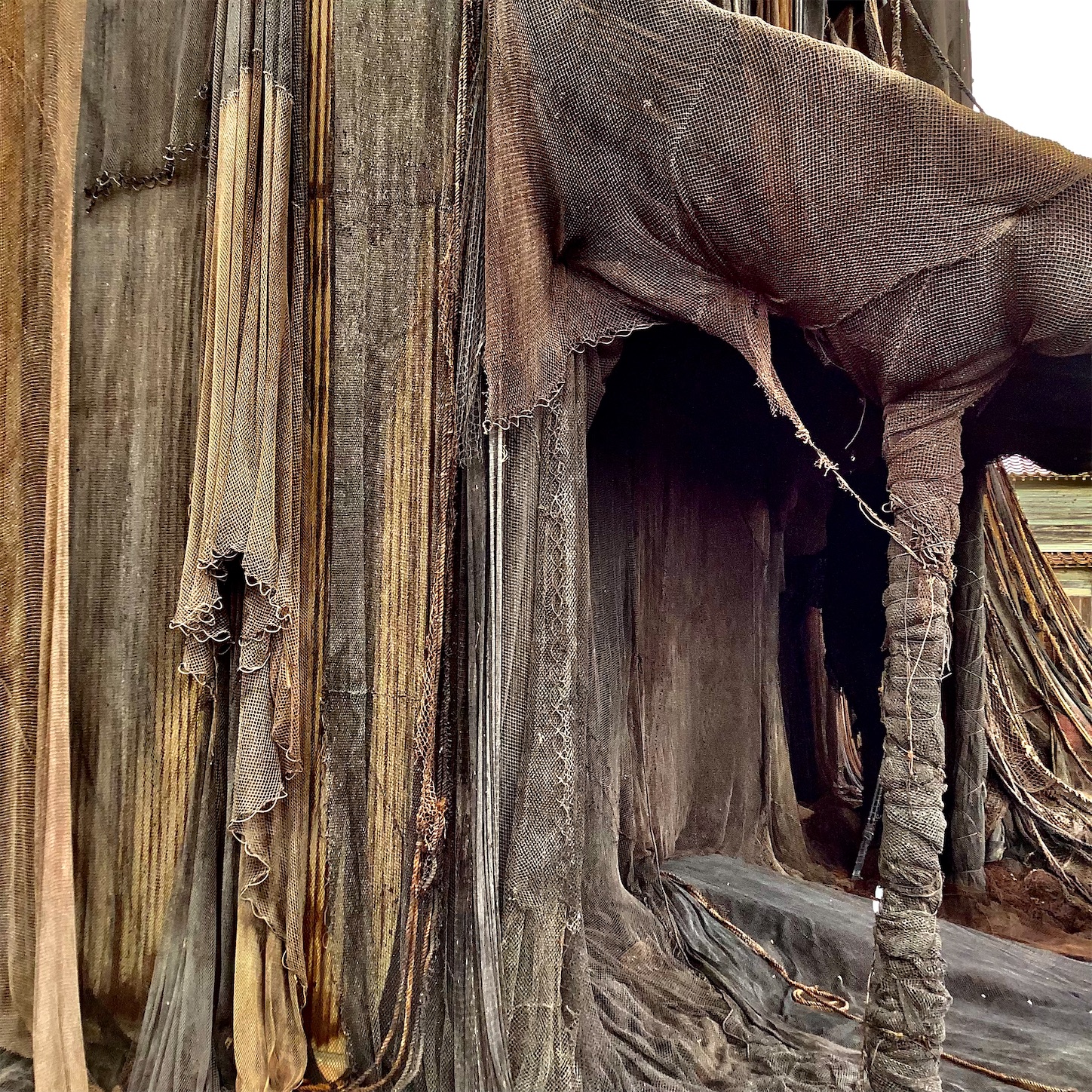 f:id:dailymusiclog:20210926164822j:image