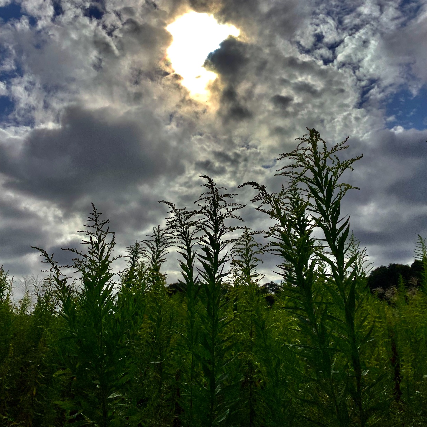 f:id:dailymusiclog:20210926165151j:image f:id:dailymusiclog:20210926165151j:image