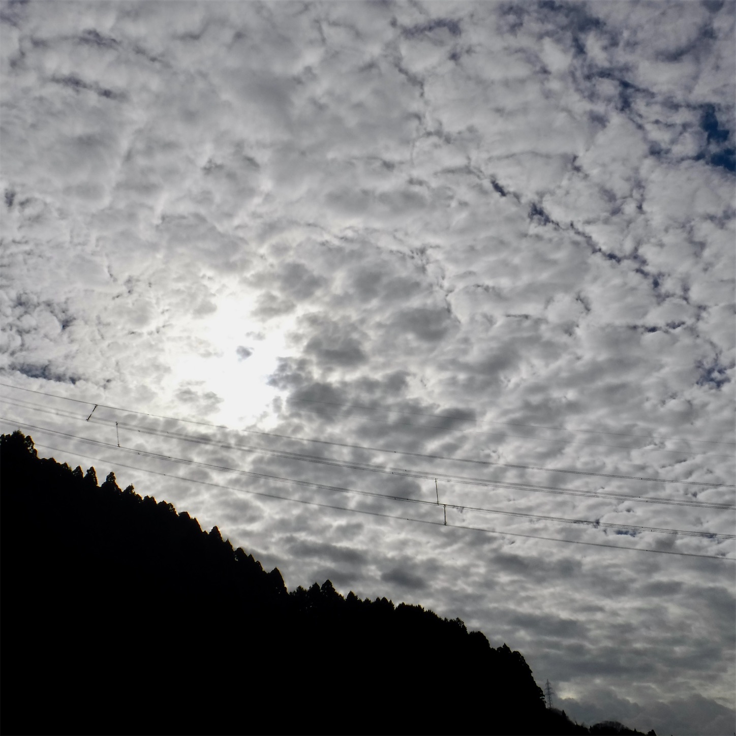 f:id:dailymusiclog:20211212114805j:image f:id:dailymusiclog:20211212114805j:image