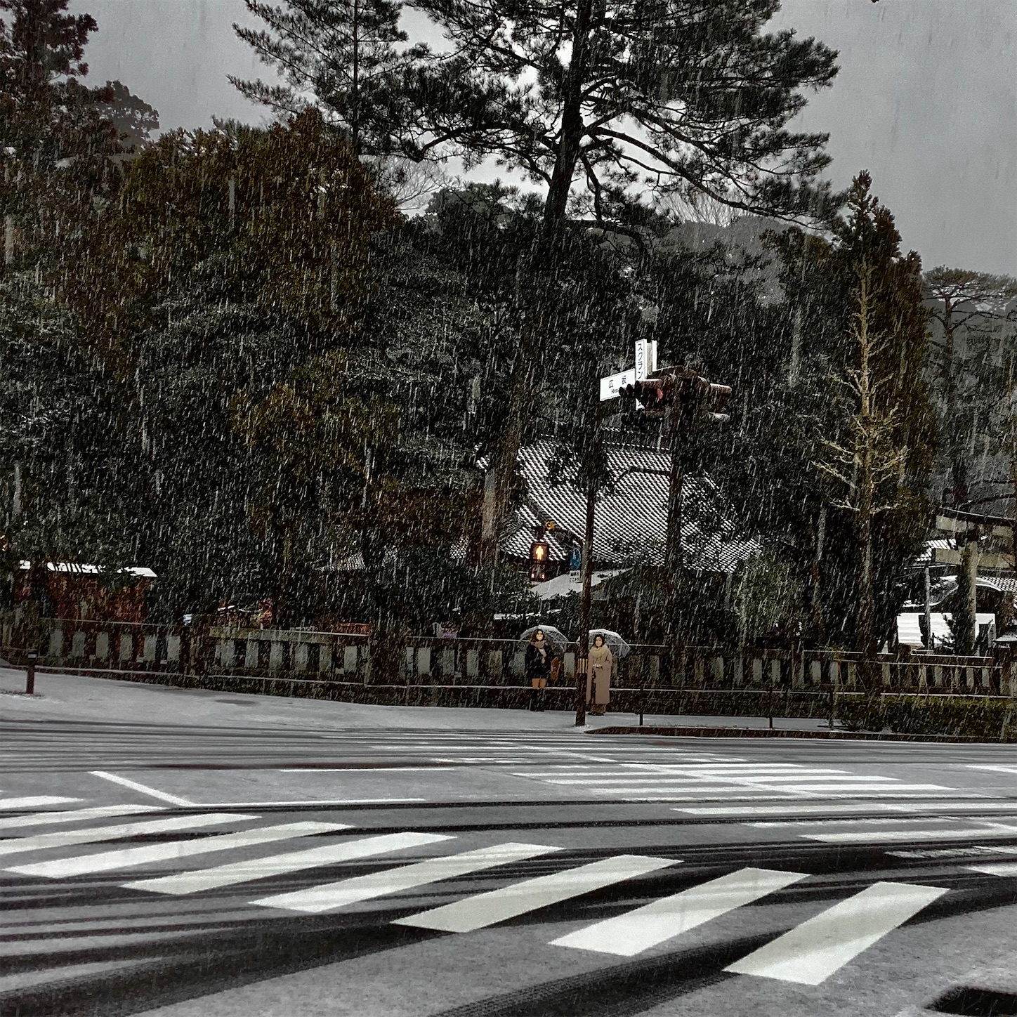 f:id:dailymusiclog:20220220120811j:image