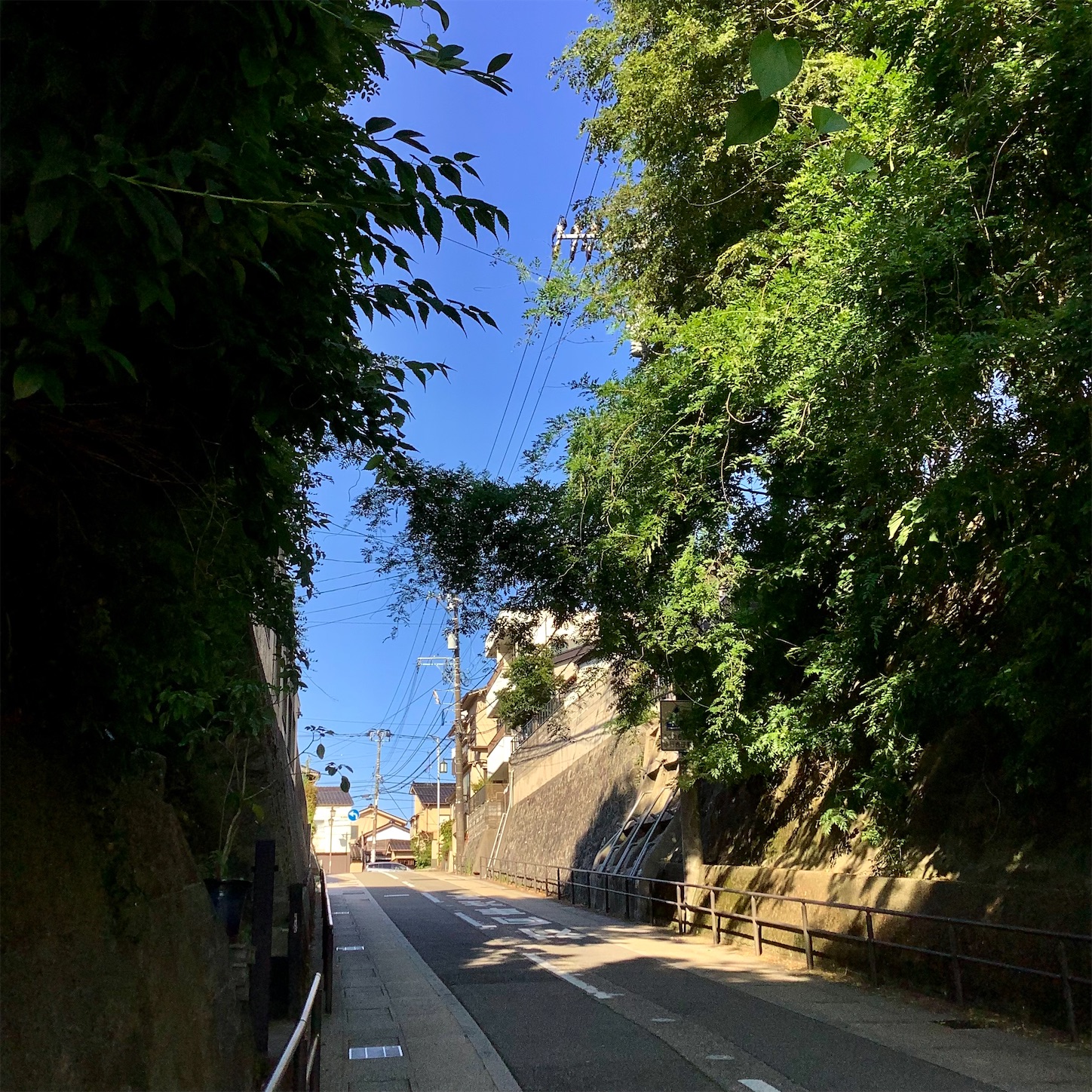 f:id:dailymusiclog:20220623094300j:image