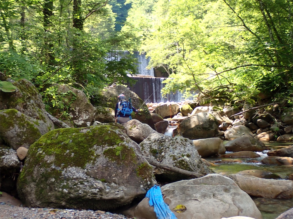 f:id:dailymusiclog:20240829122819j:image