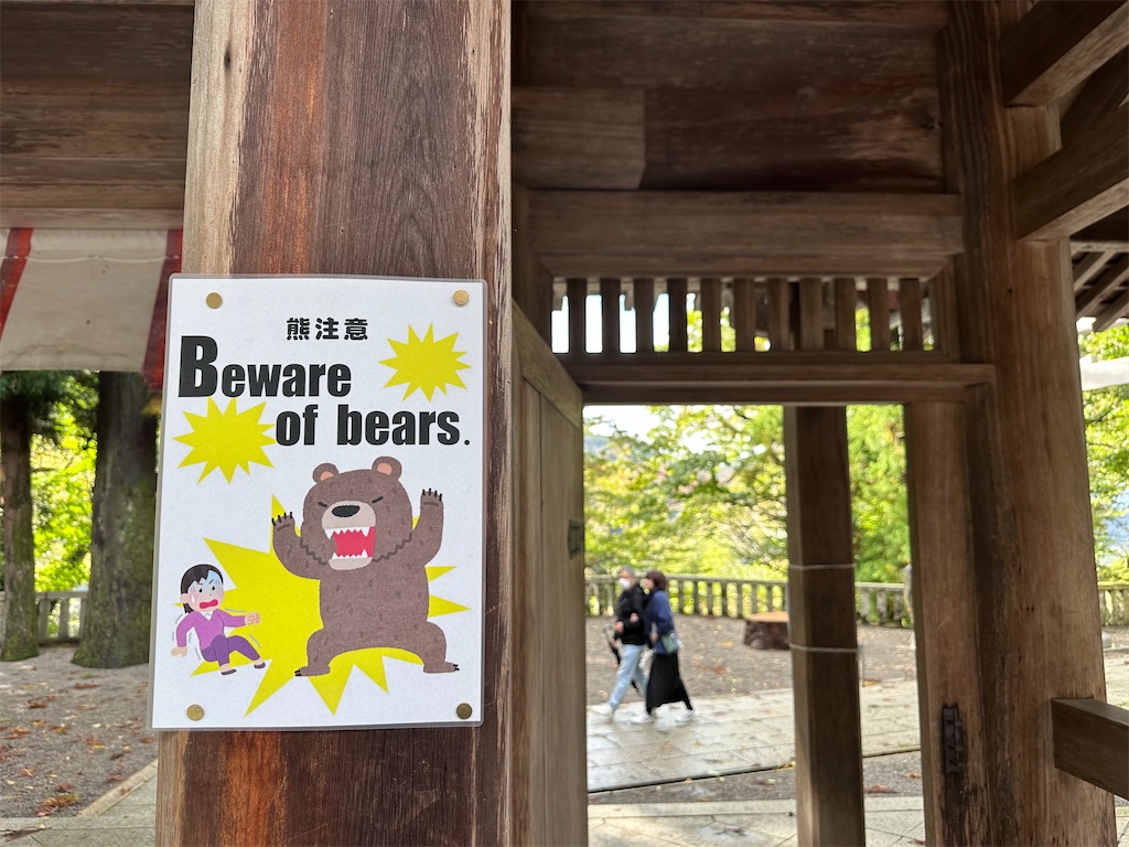 f:id:dailymusiclog:20251103202227j:image