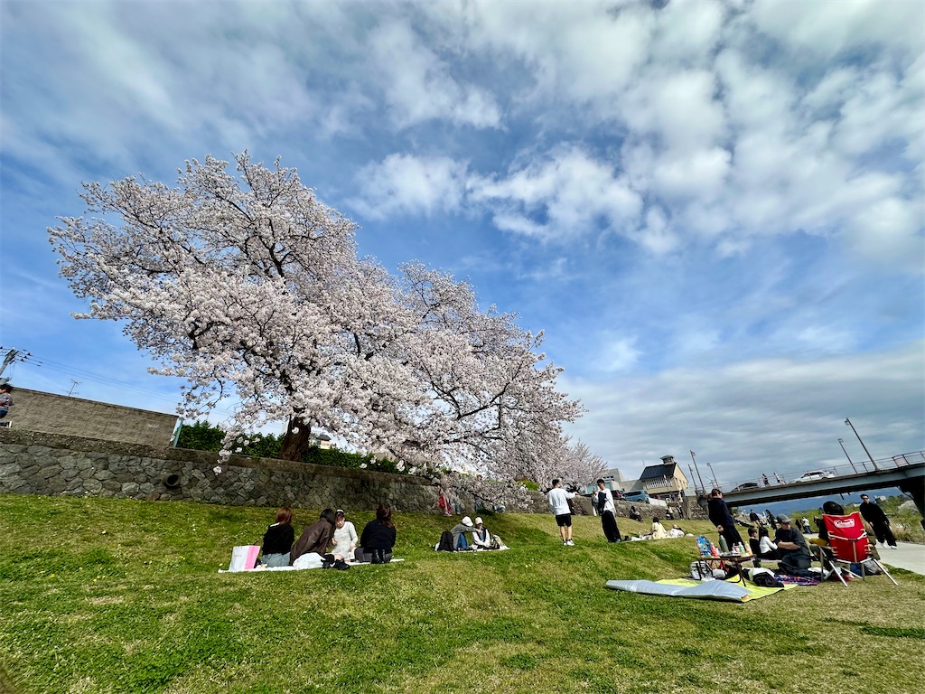 f:id:dailymusiclog:20260409171728j:image