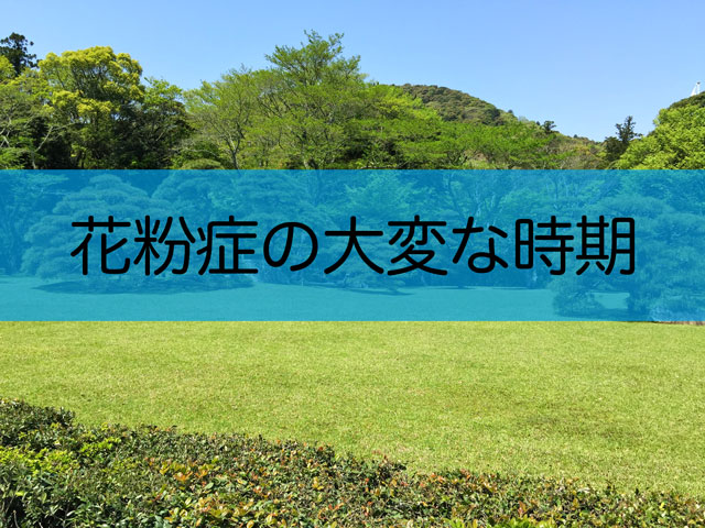 f:id:daimac178:20180326085030j:plain