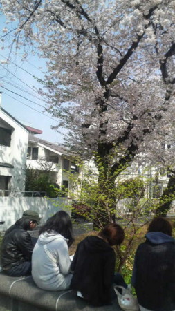 f:id:daimas:20090408134100j:image:w80