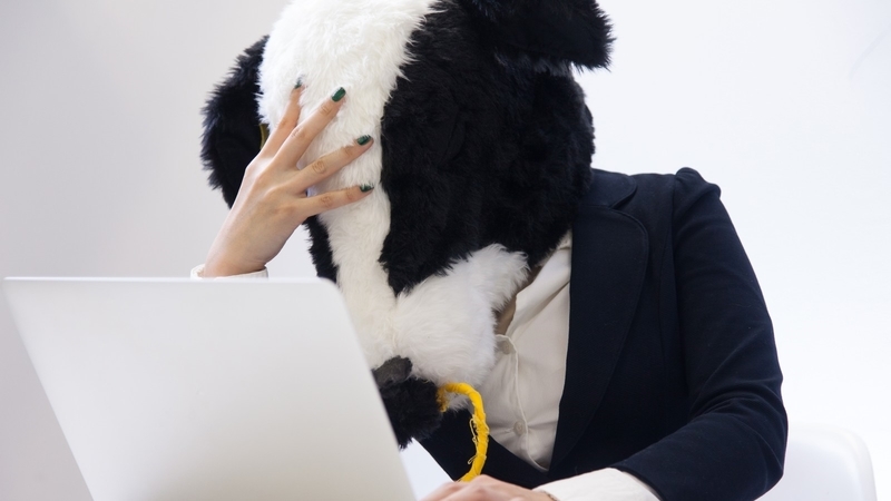 f:id:daimaxblog:20190503185329j:plain f:id:daimaxblog:20190503185329j:plain