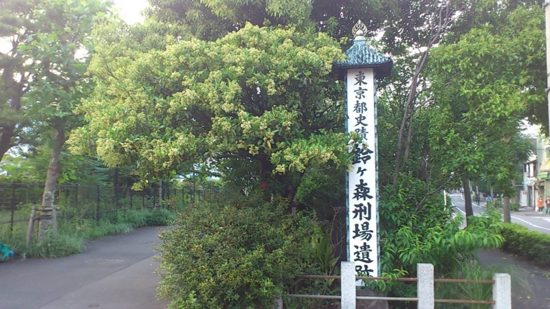 f:id:daimazin00:20110604180326j:image:w360:left