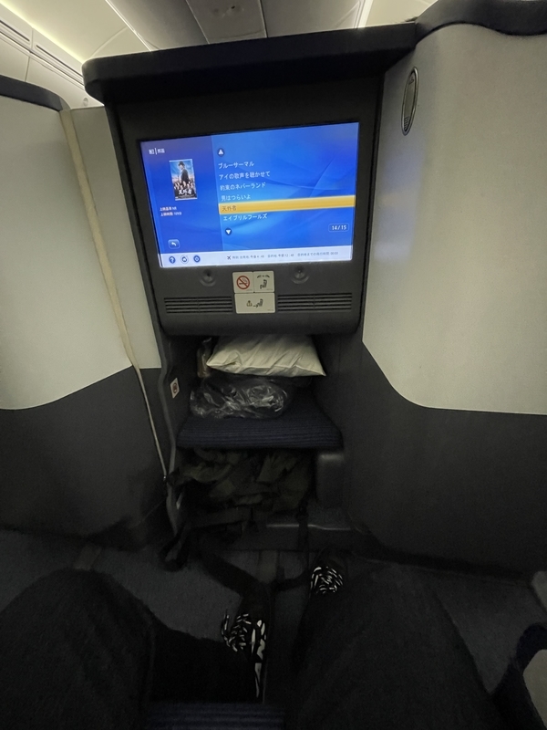 サンフランシスコ旅行記 - おじちゃんの遊び方