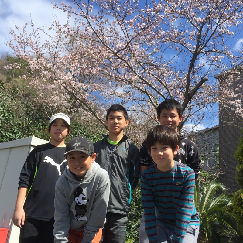 f:id:daimomo3710:20160402103106j:image:w360:left f:id:daimomo3710:20160402103106j:image:w360:left