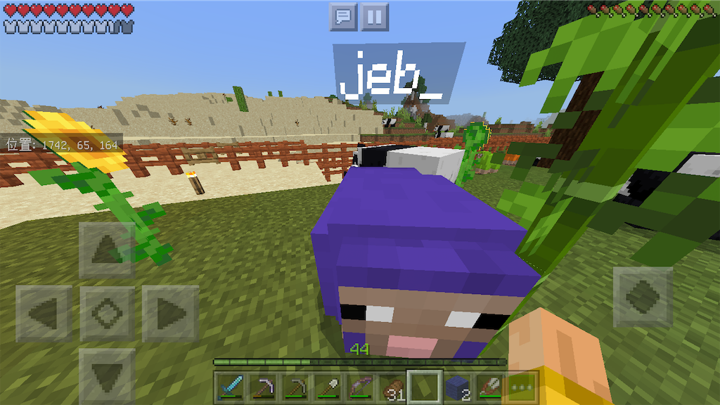 マイクラ 名札の裏技を紹介します 飼ってるペットがヤバいヤツに大変身 自分らしいマイクラ生活 だいクラ