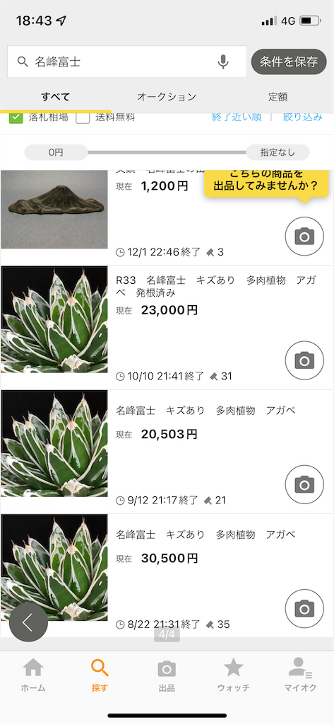 アガベ】ロウルサンコ産名峰富士が来た！【笹の雪