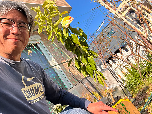 かみさん衝動買い？ レモン苗「ビラフランカ」ゲット！ - 日々是楽