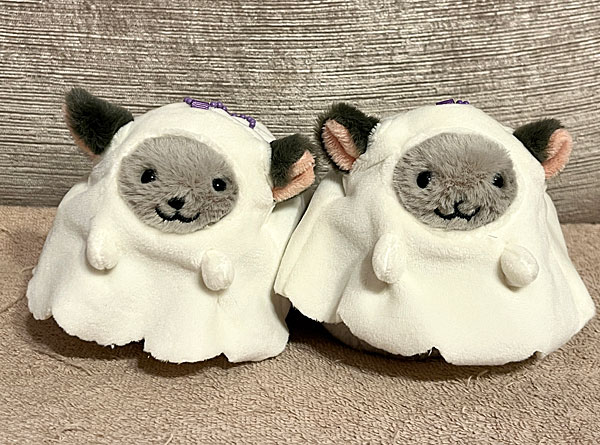 最近バズってる 「カルディ」のハロウィン限定「なりきりチンチラ