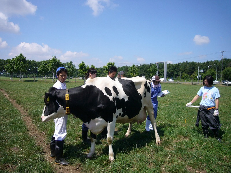 f:id:dairycow2017:20170123233855j:plain f:id:dairycow2017:20170123233855j:plain