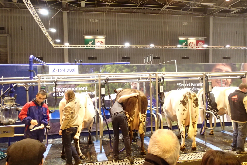 f:id:dairycow2017:20170125210151j:plain f:id:dairycow2017:20170125210151j:plain