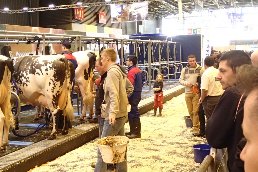 f:id:dairycow2017:20170125210231j:plain f:id:dairycow2017:20170125210231j:plain