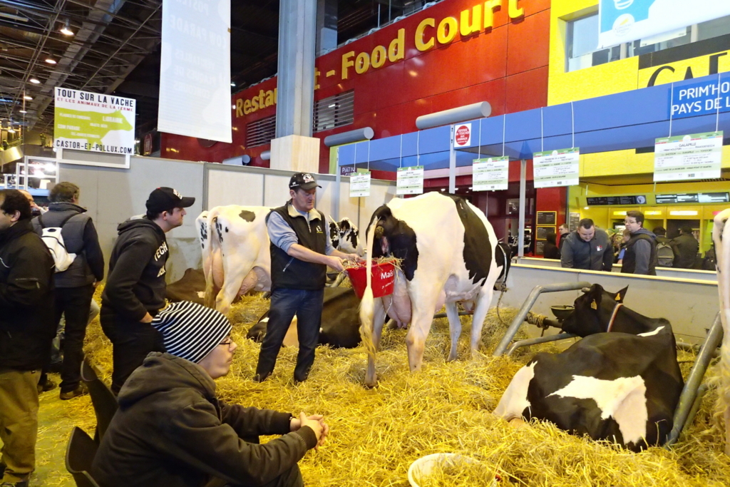 f:id:dairycow2017:20170129230609j:plain f:id:dairycow2017:20170129230609j:plain