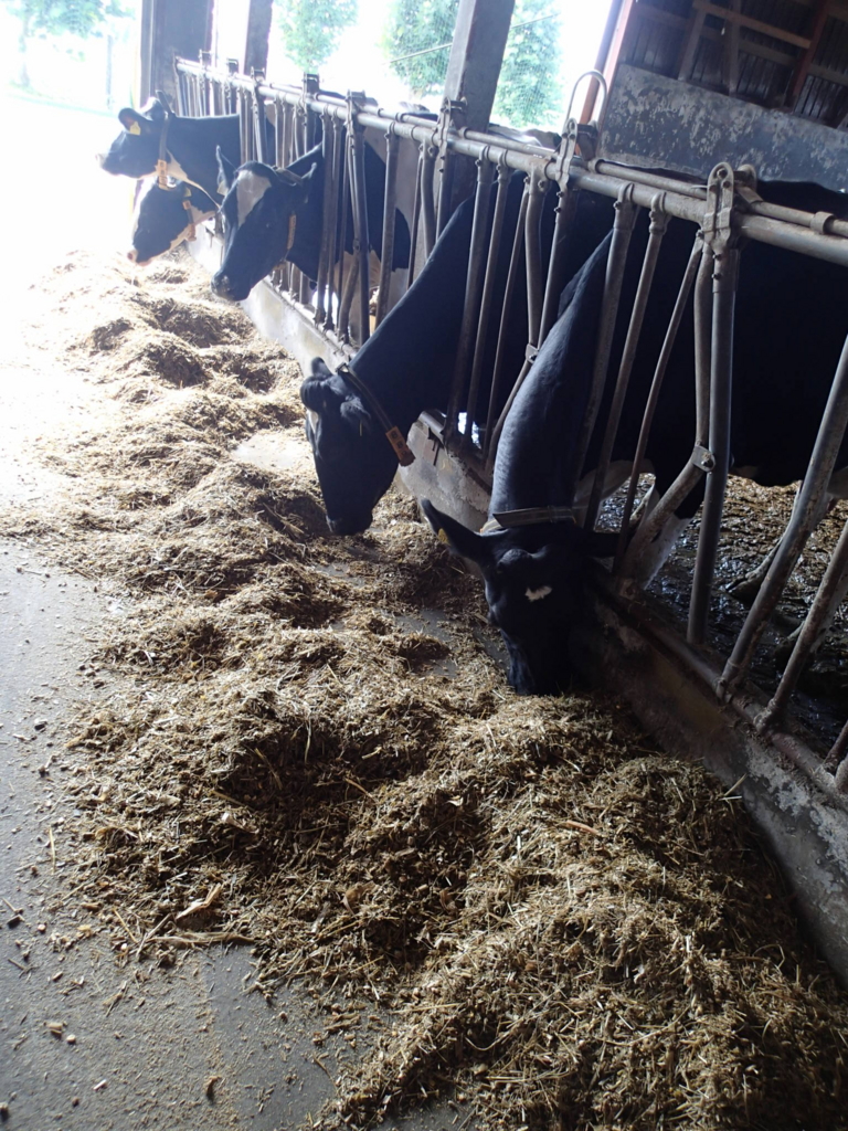 f:id:dairycow2017:20170207210313j:plain f:id:dairycow2017:20170207210313j:plain